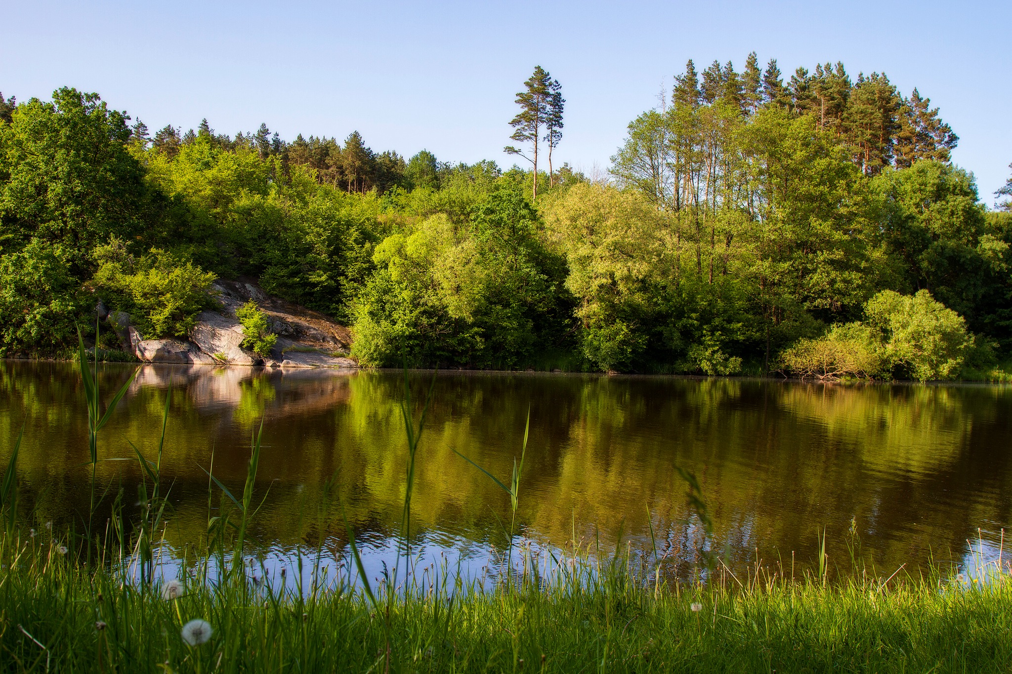 Menemukan Pola Aktivitas Alami dalam Rutinitas Harian